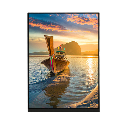 7.9 اینچ 1536 × 2048 صفحه نمایش LCD پنل LQ079L1SX01 برای iPad Mini 2 3