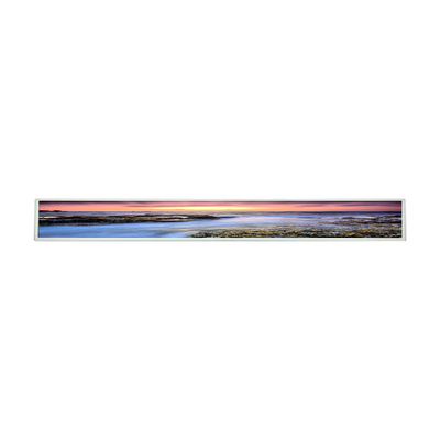 28صفحه LCD 6 اینچی برای LG LD290EJN-FPN1 صفحه LCD صفحه نمایش کف ایستاده
