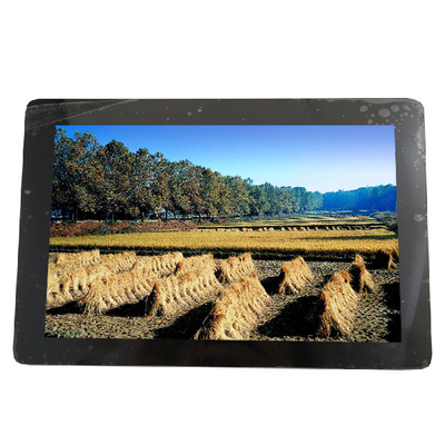 صفحه نمایش LCD 10.1 اینچ 1280*800 149PPI B101EAN01.7 34 پین