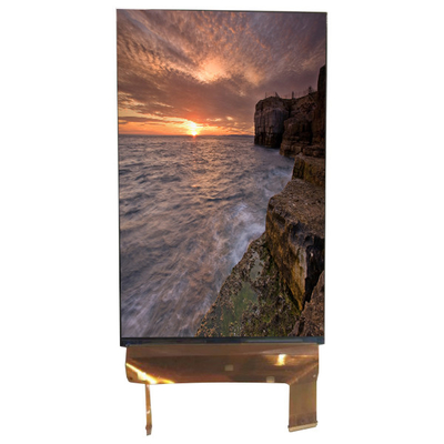 LQ070M1SX01 7.0 اینچ صفحه نمایش 1200*1920 صفحه نمایش LCD مانیتور 71 پین