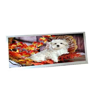 برای AUO C123HAN02.5 12.3 اینچ 40 پین صفحه نمایش LCD