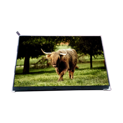 VVX10F002A90 10.1 اینچ 1000: 1 صفحه نمایش LCD