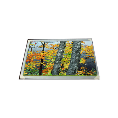 LC200WX1-SL01 20.0 اینچ 1366*768 صفحه نمایش LCD
