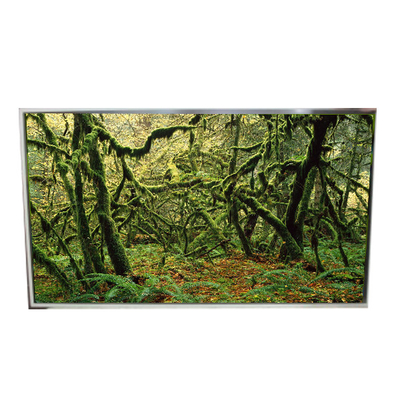 LD490EPY-SHP1 51 پین 1920*1080 صفحه LCD 60 هرتز برای سیگنال دیجیتال