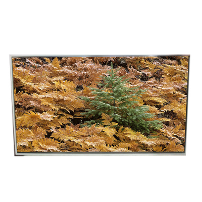 49.0 اینچ 3840*2160 LD490EQG-FNA4 صفحه LCD برای سیگنال دیجیتال