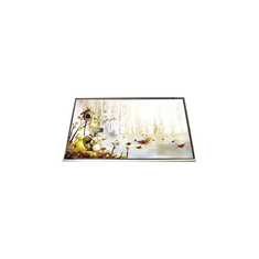 LP173WD1-TLF1 17.3 اینچ 40 پین صفحه نمایش LCD برای لپ تاپ