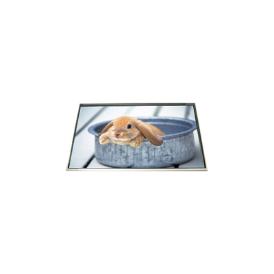 LP173WD1-TLH5 17.3 اینچ صفحه نمایش صفحه نمایش LCD 60Hz برای لپ تاپ
