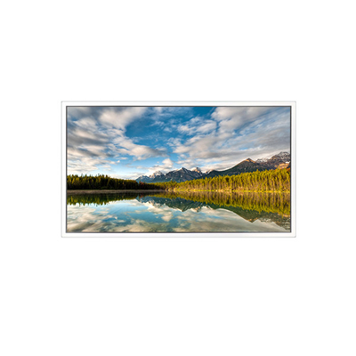 صفحه LCD 55 اینچی DV550FHB-N30 1920*1080 برای نمایش شفاف