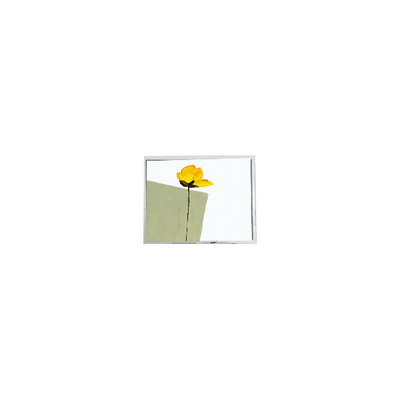 صفحه LCD جدید 800*480 AM-800480N3TZQW-00H 5.0 اینچ برای نمایش خودرو