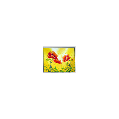 مینی 4.7 اینچ EW50855BMW 320*240 صفحه نمایش LCD قطعات مانیتور