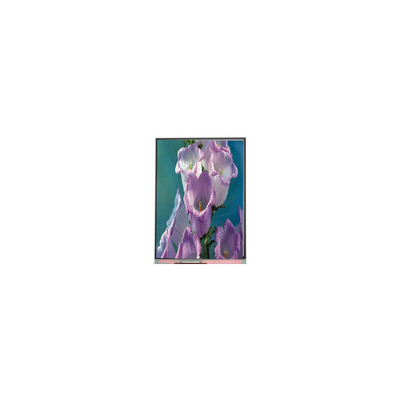 7.0 اینچ C070AWPE-0 800 * 480 TFT صفحه نمایش LCD LCD پانل صنعتی