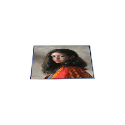 P286IVN03.0 ماژول LCD صفحه نمایش LCD 28.6 اینچی