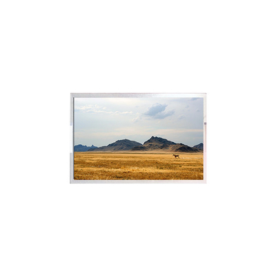 صفحه نمایش LCD TFT7D0906-A 6.3 اینچ پانل ماژول LCD