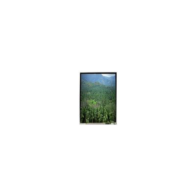 LS055B3SX04Z 5.5 اینچ 1920 * 3664 پانل صفحه نمایش LCD TFT