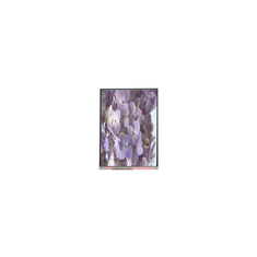 IVO C070SWWC 7.0 اینچ صفحه نمایش TFT-LCD