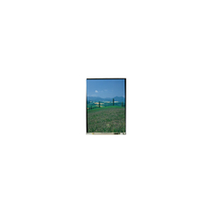 صفحه نمایش LCD LS052T3SX03A 5.2 اینچ 1080*1920 FHD برای تلفن همراه