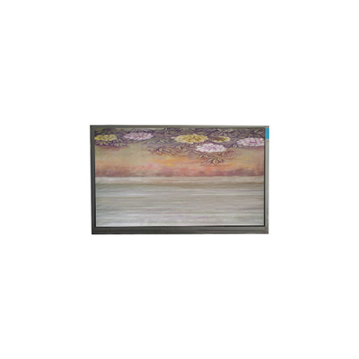 6.1 اینچ TFT LCD Panel U061SWR6-0 صفحه نمایش صفحه نمایش LCD