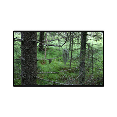 TV101WUB-NW1-D9P0 10.1 اینچ صفحه نمایش LCD 1200*1920
