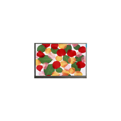 E080AWAA R1 صفحه LCD 8.0 اینچی برای نمایش خودرو