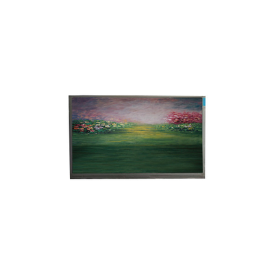 صفحه نمایش LCD برای 13.3 اینچ R133NWF4 RB ماژول LCD