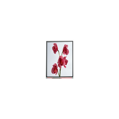 480*960 C060SWY7-0 6.0 اینچ صفحه LCD