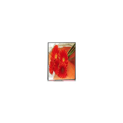 5.5 اینچ C055SWY9-0 صفحه LCD برای تلفن همراه