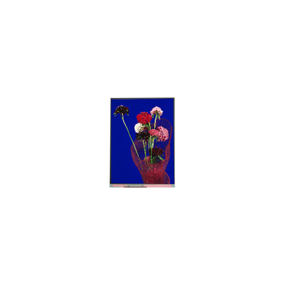 5.4 اینچ C054SWR6-0 540*1132 صفحه نمایش LCD برای تلفن