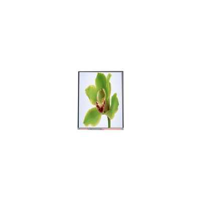 5صفحه نمایش LCD TFT 0.0 اینچی 480*854 C050SWYG-3
