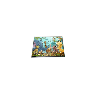 LPM060A513A صفحه نمایش صفحه نمایش LCD 6.0 اینچی برای تلفن همراه