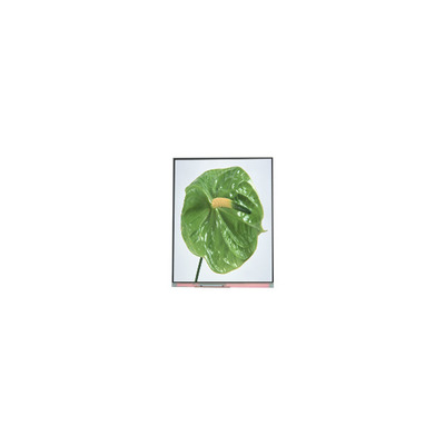 C050SWYM-0 5.0 اینچ 480*960 صفحه نمایش LCD برای تلفن