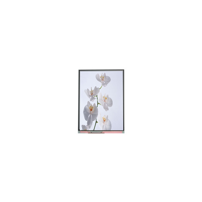 C060SWR6-1 6.0 اینچ 720*1528 صفحه نمایش LCD