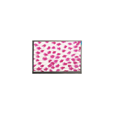 9.0 اینچ 800*480 صفحه نمایش LCD صفحه نمایش LCD E090SWP1 R2