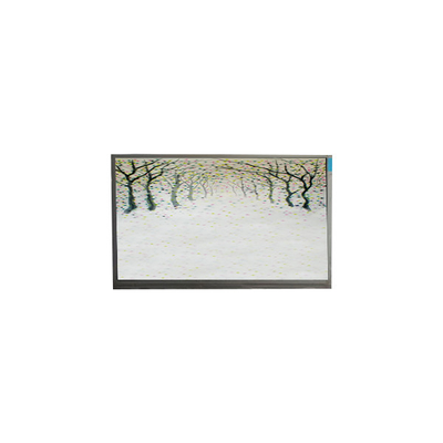 R125NWR3 R3 12.5 اینچ ماژول LCD 1366 * 768 صفحه نمایش LCD