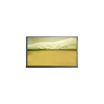 21.5 اینچ M215HJK-L3B صفحه نمایش LCD صفحه نمایش LCD 1920*1080