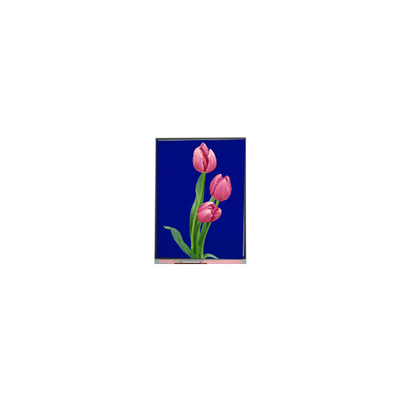 C055SWF4 R0 ماژول LCD 5.5 اینچ صفحه نمایش LCD TFT