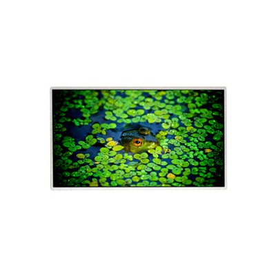 HR236WU3-301 23.6 اینچ 1920*1080 صفحه نمایش LCD برای مانیتور دسکتاپ