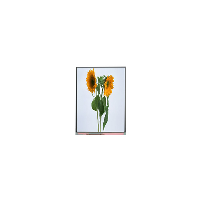 9.0 اینچ IVO صفحه LCD C090SWT3-0 1024*600 ماژول های نمایش LCD