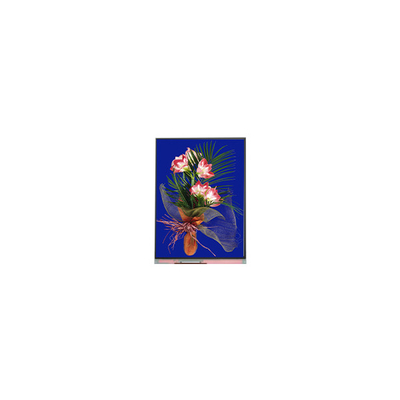 5.4 اینچ پانل LCD 540*960 C054SWN1-1 ماژول صفحه نمایش LCD