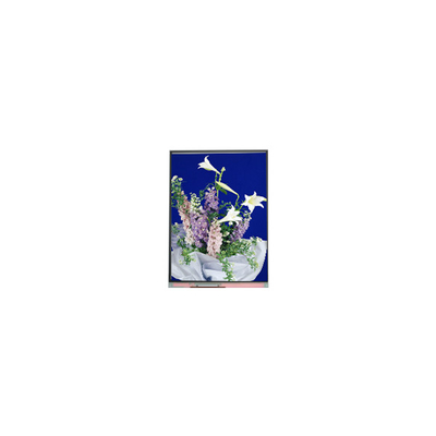 C054SWN1 R0 tft صفحه نمایش LCD صفحه نمایش LCD 5.4 اینچی