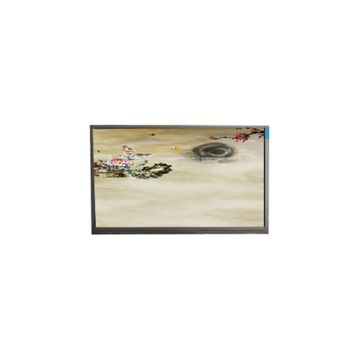 P236MWF2 R0 23.6 اینچ 1920*1080 صفحه نمایش TFT-LCD