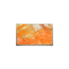 M215H1-P01 1920*1080 21.5 اینچ صفحه نمایش LCD برای مانیتور دسکتاپ