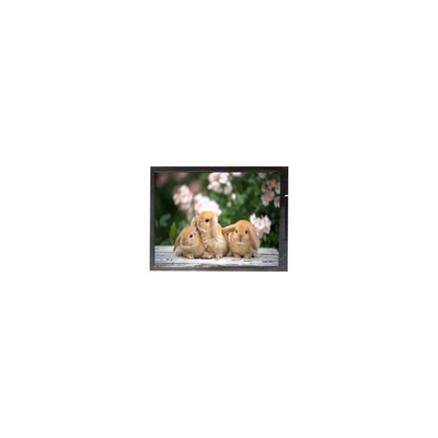 11.6 اینچ B116XAK02.0 1366*768 صفحه نمایش LCD لپ تاپ