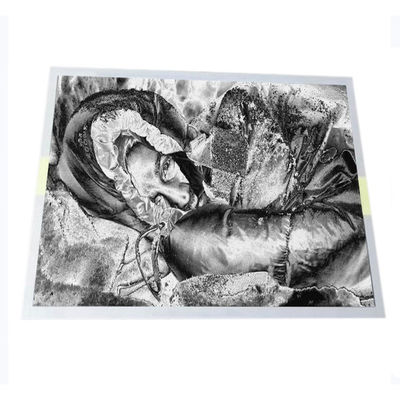 قیمت خوب پانل صفحه نمایش LCD دستگاه CNC 15.0 اینچ RGB 1024X768 NL10276AC30-45D آنلاین