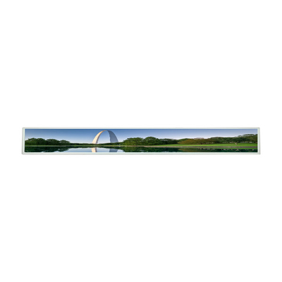 قیمت خوب پنل LCD 28.6 اینچی برای صفحه نمایش ال سی دی LG LD290EJE-FPA1 پنل نمایش ایستاده روی زمین آنلاین