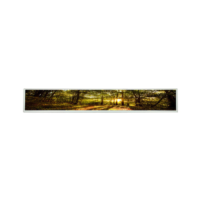 قیمت خوب LSI290LN01 ماژول نمایشگر 29 اینچی a-Si TFT-LCD LCM آنلاین