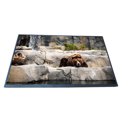 قیمت خوب صفحه نمایش BOE LCD EV238FHM-N13 23.8 اینچی با وضوح 1920*1080 صفحه نمایش LCD آنلاین