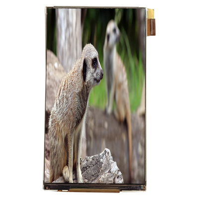 قیمت خوب LQ055K3SX02 5.5 اینچ ماژول LCD رابط 720 * 1280 صفحه نمایش LCD برای نمایش ماشین آنلاین