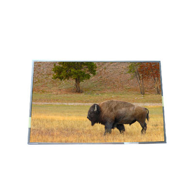 قیمت خوب عرضه 17.0 اینچ B170PW03 V5 99PPI پانل LCD TFT آنلاین