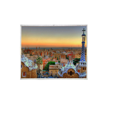 قیمت خوب LC121S1-A1MT 12.1 اینچ 20 پین 800*600 صفحه نمایش LCD صنعتی آنلاین