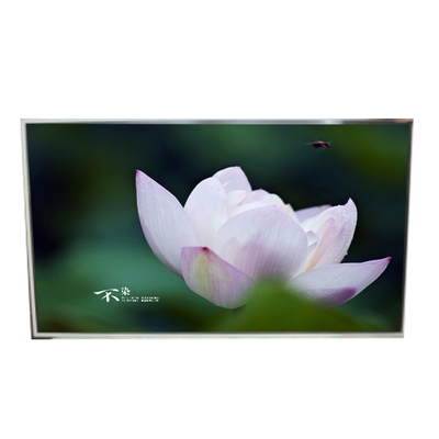 قیمت خوب LD490EQG-FPA3 49.0 اینچ 3840*2160 رزولوشن صفحه نمایش LCD برای سیگنال دیجیتال آنلاین
